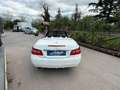 Mercedes-Benz E 220 220 CDI Cabrio BlueEFF. Executive Wit - thumbnail 4