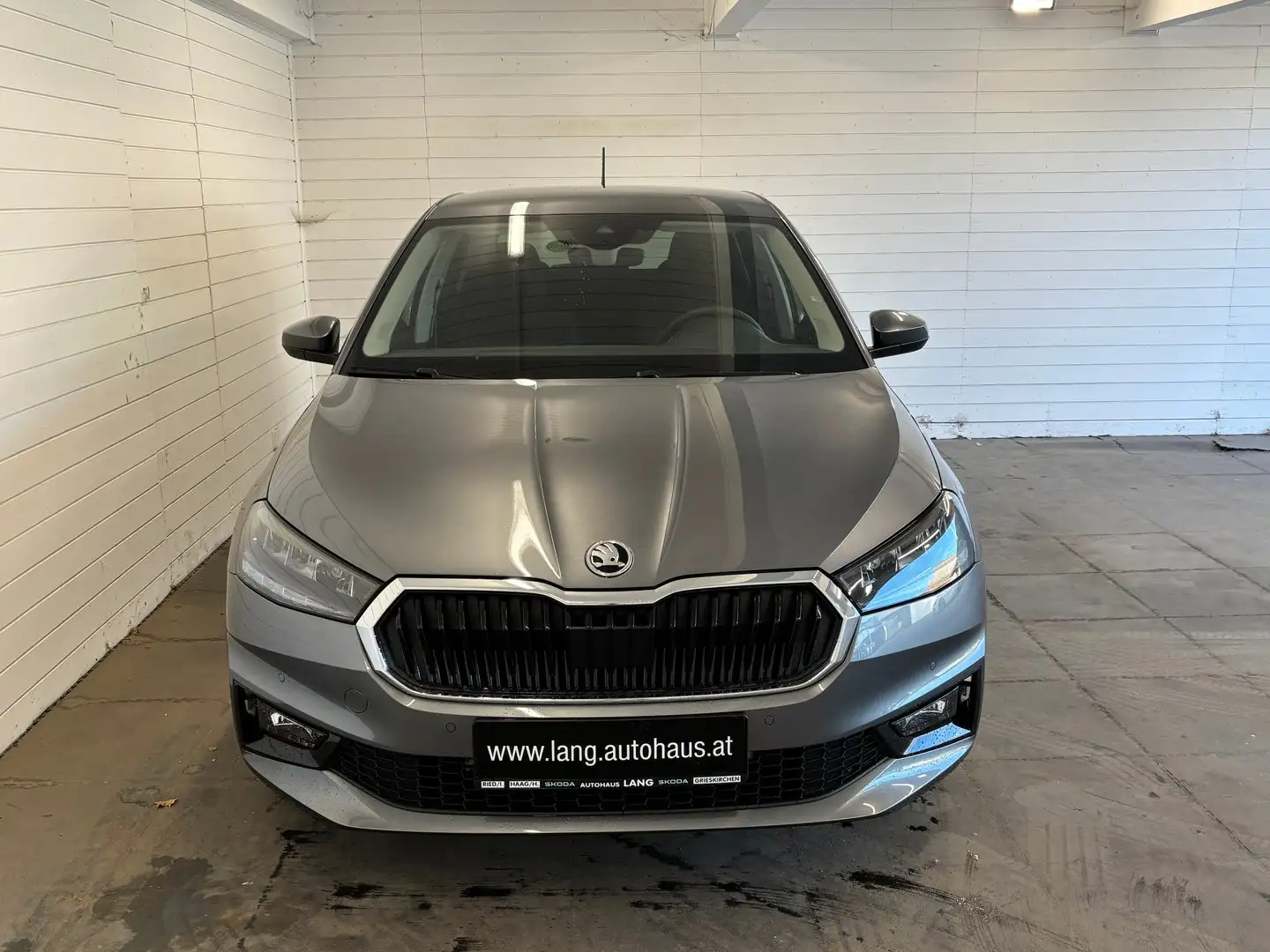 Skoda Fabia Selection TSI Grau - 2
