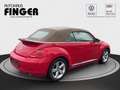 Volkswagen Beetle Cabriolet 2.0 TSI BMT Sport *NAVI/XENON* Rot - thumbnail 6