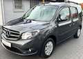Mercedes-Benz Citan 112 Lang Tourer Kamara|Sitzhzg|Klima Grau - thumbnail 3