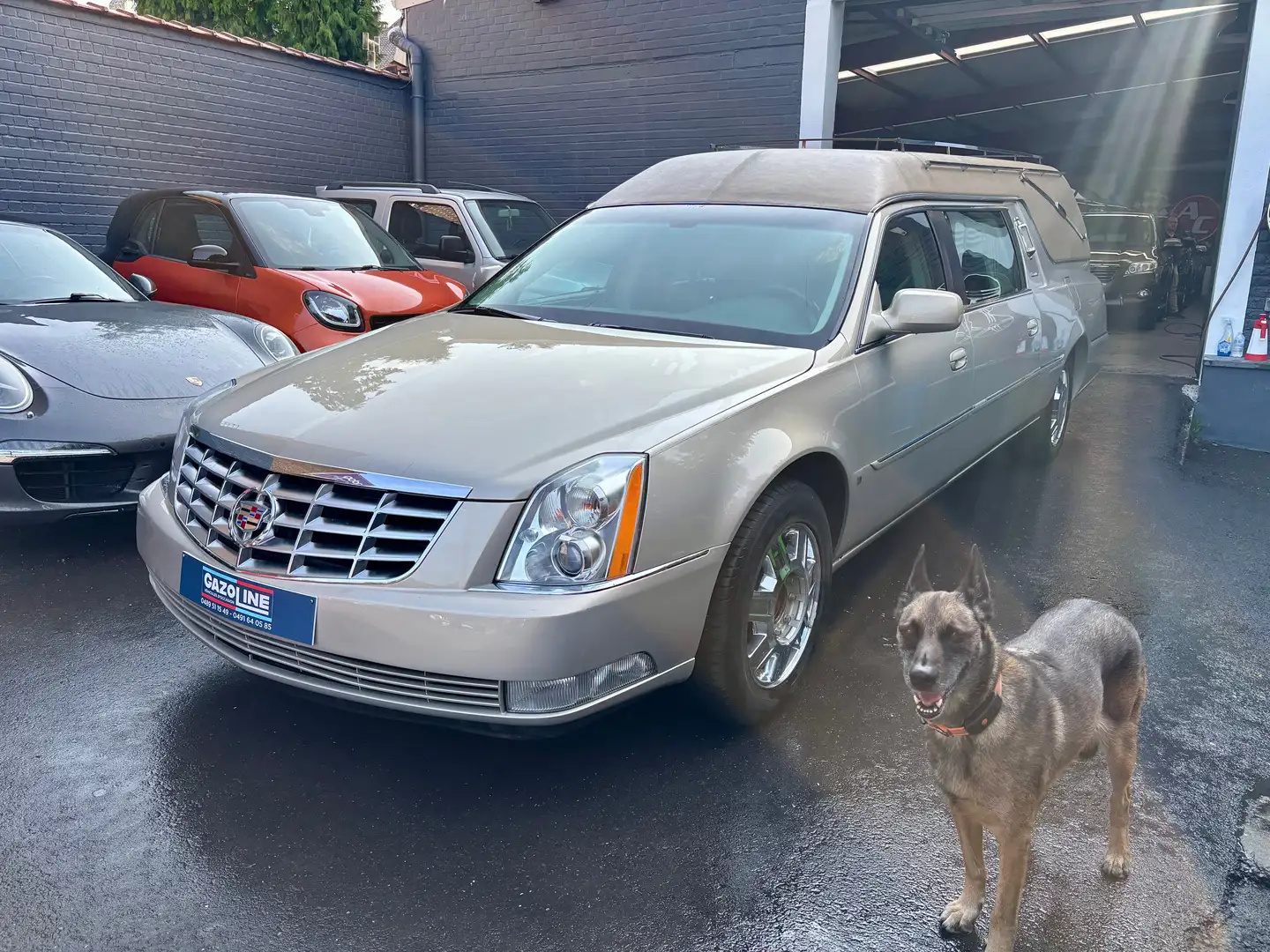 Chevrolet Corbillard V8 60000 km immat Belge car-pass Beige - 1