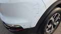 Kia Sportage 1.6 crdi Urban 2wd 115cv PERMUTE OK NEOPATENTATI - thumbnail 6