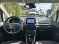 Ford EcoSport Cool & Connect 1.0EcoBoost 100PS M6 Weiß - thumbnail 11