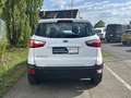 Ford EcoSport Cool & Connect 1.0EcoBoost 100PS M6 Weiß - thumbnail 5