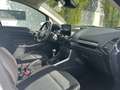 Ford EcoSport Cool & Connect 1.0EcoBoost 100PS M6 Weiß - thumbnail 7