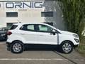 Ford EcoSport Cool & Connect 1.0EcoBoost 100PS M6 Weiß - thumbnail 6