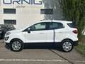 Ford EcoSport Cool & Connect 1.0EcoBoost 100PS M6 Weiß - thumbnail 3