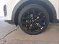 Kia Sportage ALLRAD 2.0 CRDI AWD Blanco - thumbnail 5