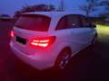 Mercedes-Benz B 200 Classe B 200 d 7G-DCT Business Executive Edition Blanco - thumbnail 1