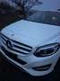 Mercedes-Benz B 200 Classe B 200 d 7G-DCT Business Executive Edition Blanco - thumbnail 2
