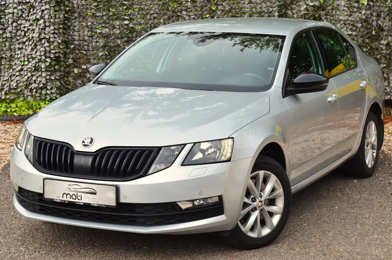 Skoda Octavia 2.0 TSI DSG 4x4 Style Argent - 1