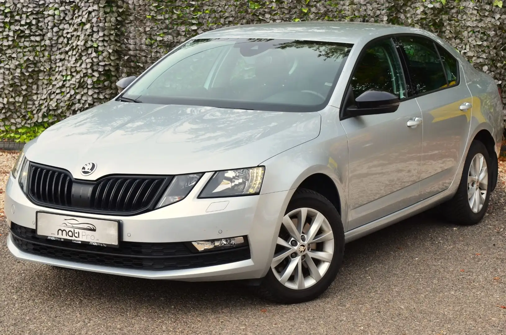 Skoda Octavia 2.0 TSI DSG 4x4 Style Silber - 2