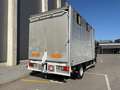 DAF Sonstige LF 45.180 - Transporteur de chevaux / Paarden transport Schwarz - thumbnail 11