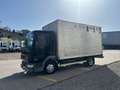 DAF Sonstige LF 45.180 - Transporteur de chevaux / Paarden transport Schwarz - thumbnail 6