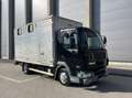 DAF Sonstige LF 45.180 - Transporteur de chevaux / Paarden transport Schwarz - thumbnail 1
