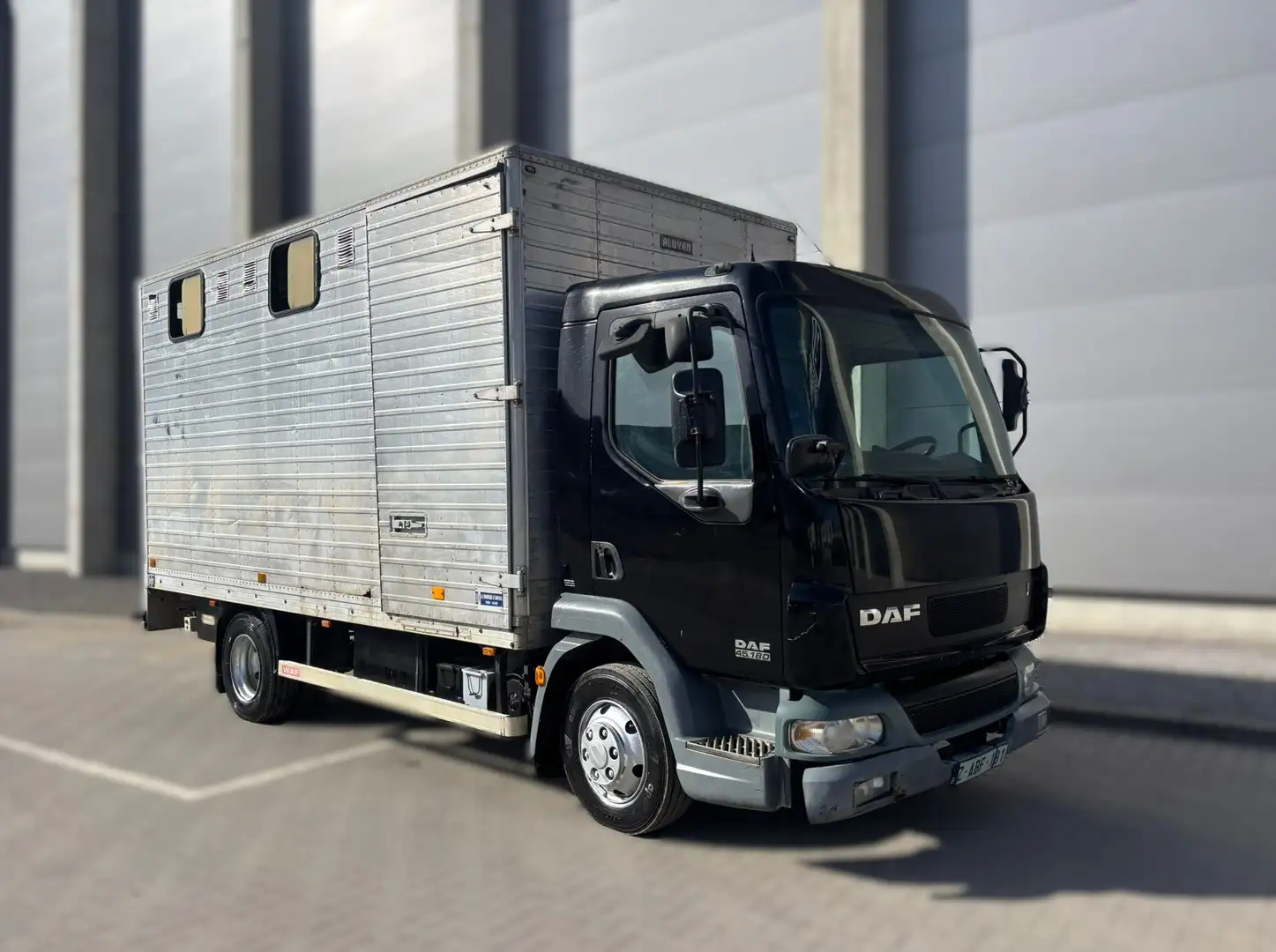 DAF Sonstige LF 45.180 - Transporteur de chevaux / Paarden transport Schwarz - 1