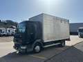 DAF Sonstige LF 45.180 - Transporteur de chevaux / Paarden transport Schwarz - thumbnail 7