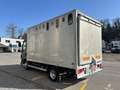 DAF Sonstige LF 45.180 - Transporteur de chevaux / Paarden transport Schwarz - thumbnail 10