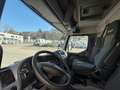 DAF Sonstige LF 45.180 - Transporteur de chevaux / Paarden transport Schwarz - thumbnail 18