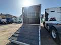 DAF Sonstige LF 45.180 - Transporteur de chevaux / Paarden transport Schwarz - thumbnail 13
