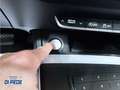 Audi Q5 Q5 35 2.0 tdi mhev Business 163cv s-tronic Blu/Azzurro - thumbnail 11