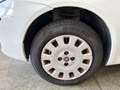 Fiat Punto Punto 5p 1.2 Classic Bianco - thumbnail 12