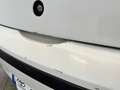 Fiat Punto Punto 5p 1.2 Classic Bianco - thumbnail 8