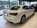 Maserati Ghibli 330 CV MHEV GT - Prezzo reale !!! Bianco - thumbnail 4