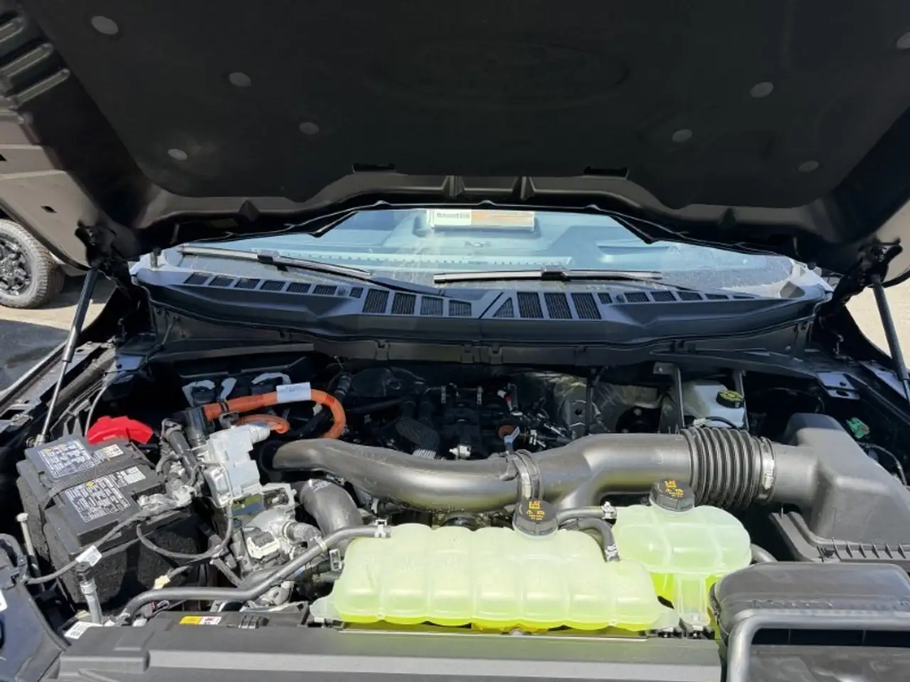 Ford F 150 photo Ford F 150