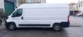 Fiat Ducato L3  motore ko  NO MAIL Blanc - thumbnail 4
