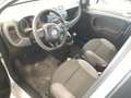 Fiat Panda 1.3 mjt 16v 95cv 5p Argento - thumbnail 5