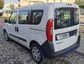 Fiat Doblo N1 5 POSTI Wit - thumbnail 4