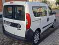 Fiat Doblo N1 5 POSTI Wit - thumbnail 3