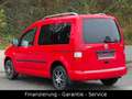 Volkswagen Caddy Life Gewinner Caddy/KLIMAAUTO/ALU/WENIG KM Rot - thumbnail 5