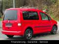 Volkswagen Caddy Life Gewinner Caddy/KLIMAAUTO/ALU/WENIG KM Rot - thumbnail 4