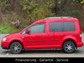 Volkswagen Caddy Life Gewinner Caddy/KLIMAAUTO/ALU/WENIG KM Rot - thumbnail 7