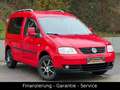 Volkswagen Caddy Life Gewinner Caddy/KLIMAAUTO/ALU/WENIG KM Rot - thumbnail 3