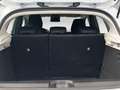 Renault Clio 1.5 blue dci Business 100cv Blanc - thumbnail 11