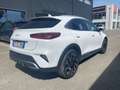 Kia XCeed Xceed 1.5 T-GDi 160 CV MHEV iMT Style Wit - thumbnail 8