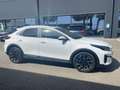 Kia XCeed Xceed 1.5 T-GDi 160 CV MHEV iMT Style Wit - thumbnail 7