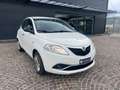 Lancia Ypsilon 1.2 69 CV 5p. Gold Bianco - thumbnail 3