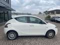 Lancia Ypsilon 1.2 69 CV 5p. Gold Bianco - thumbnail 4