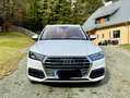 Audi Q5 Q5 2,0 TDI quattro Weiß - thumbnail 8