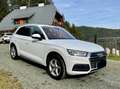 Audi Q5 Q5 2,0 TDI quattro Weiß - thumbnail 7