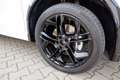 Volkswagen Tiguan 2.0 TDI R-Line DSG/Pano/IQ/8,5x20/Keyless Blanco - thumbnail 25