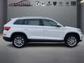 Skoda Kodiaq 2.0TDI Allrad Navi Weiß - thumbnail 5