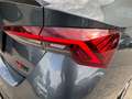 Skoda Octavia 2.0 TDI DPF RS Grau - thumbnail 21