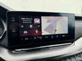 Skoda Octavia 2.0 TDI DPF RS Grau - thumbnail 34