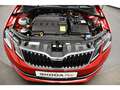 Skoda Octavia 3 III Combi 2.0 TDI 4x4 DSG L&K Rückfahr Rot - thumbnail 12