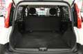 Fiat Panda 1.2 Pop Van 2 posti + IVA 22% Wit - thumbnail 24